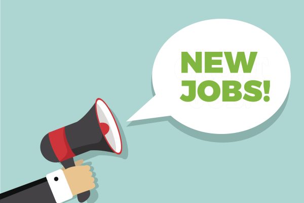 Sarkari Job 2025: Latest सरकारी नौकरी (Government Job) Updates